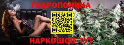 прущие грибы Анжеро-Судженск