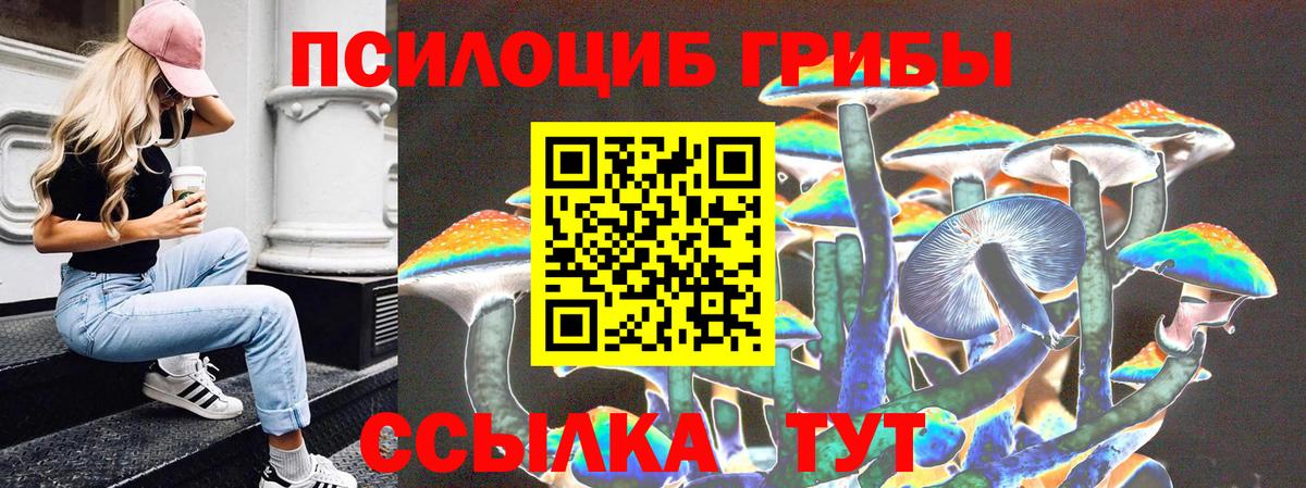 Корсаков  Псилоцибиновые грибы GOLDEN TEACHER  Вход с VPN 